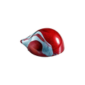 Cherry ahumada