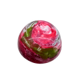 Guayaba
